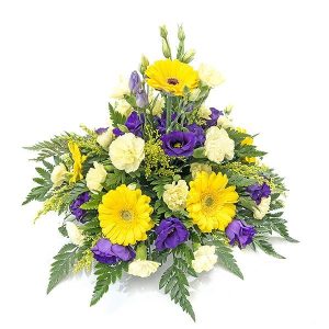 Posie