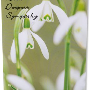 With Deepest Sympathy